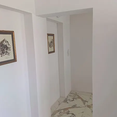 Apatmani Cricek Vlašići