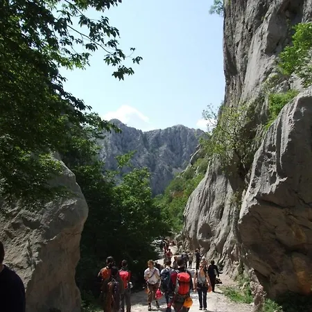 Apatmani Cricek * Vlašići